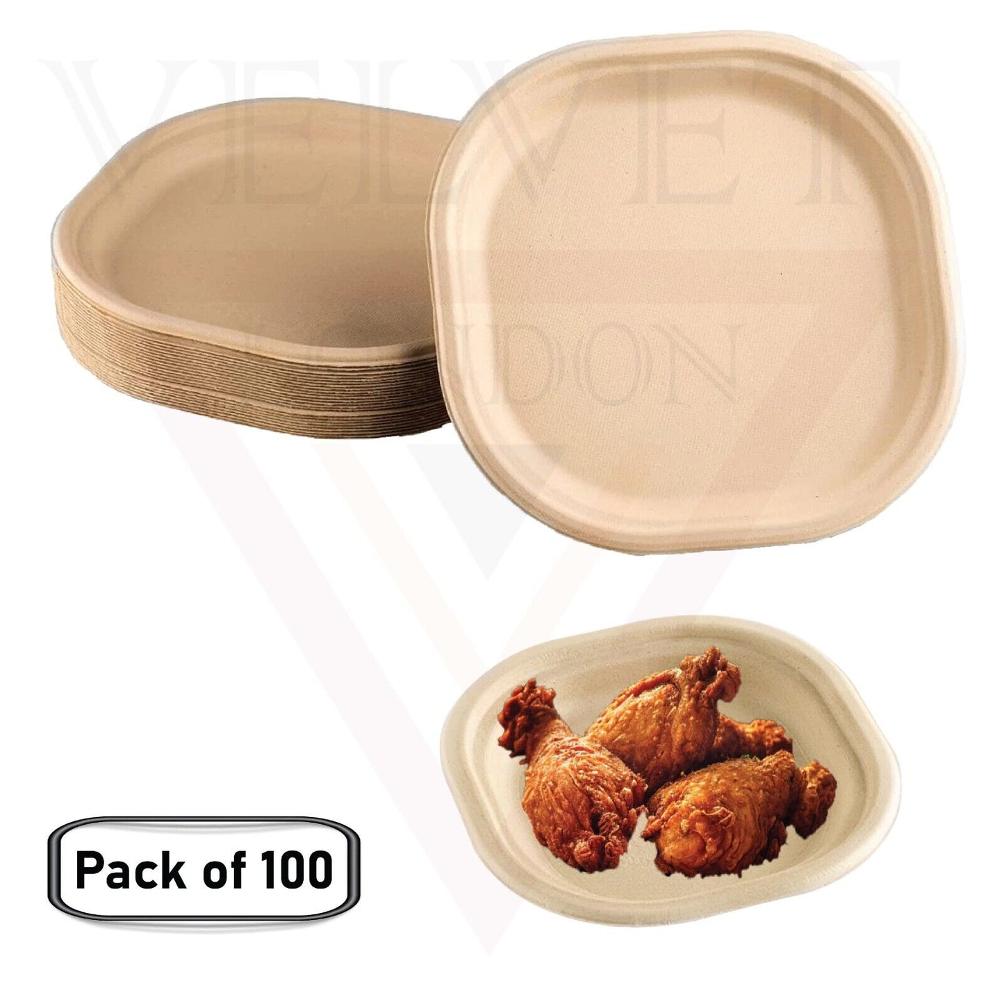 9" Biodegradable Paper Plates Large & Sturdy Disposable Tableware Bagasse Plates