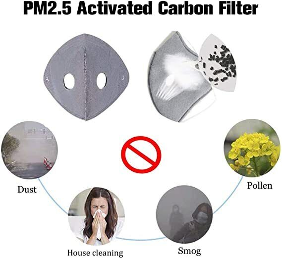 2x Face Mask Skin Care Dustproof Mask Anti-pollution Cover Cotton Carbon Filter
