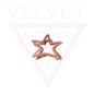 Metal Hair Claw Clips Matte Hair Clamp Star Barrette Frosted Jaw Accessories
