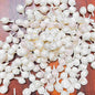 50x Decorative Mogra Artificial Jasmine Buds For Making Gajra Necklace Bun Maker