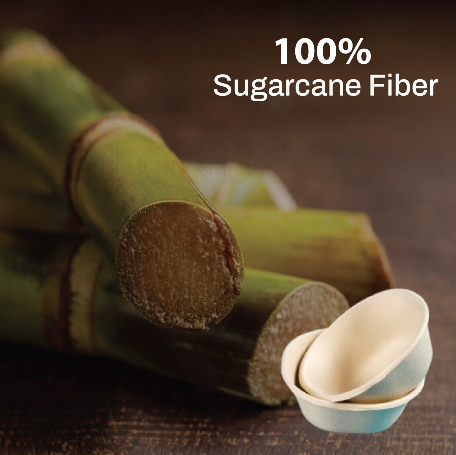 Paper Bowls Biodegradable Sugarcane Bagasse Party Bowls for Salad, Soup, Snacks